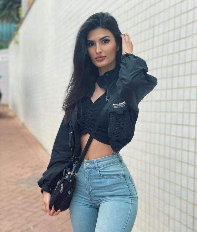 澳门天天免费资料大全下载下载手机版