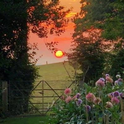 pc蛋蛋官方网站