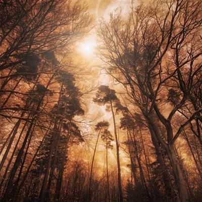 pg娱乐电子游戏