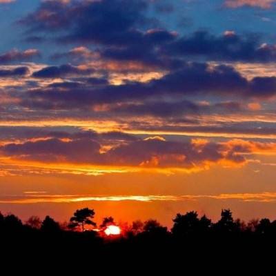 半岛手机网页版登录