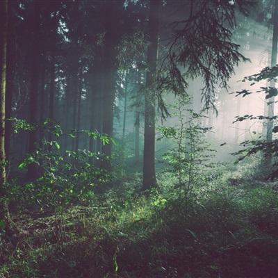 pg娱乐电子游戏